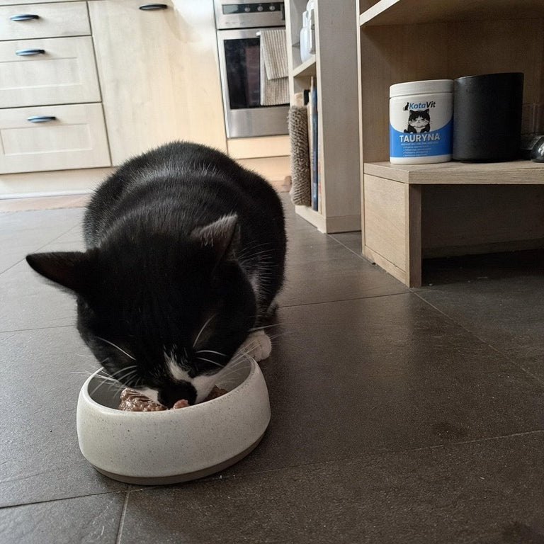 F7. Katze über einem Napf Nassfutter gebeugt, KotaVit-Dose daneben