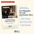 Leitfaden: Ein langes Katzenleben