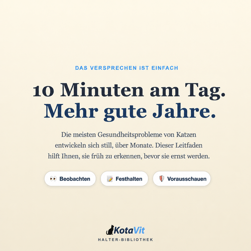 Leitfaden für ein langes Katzenleben