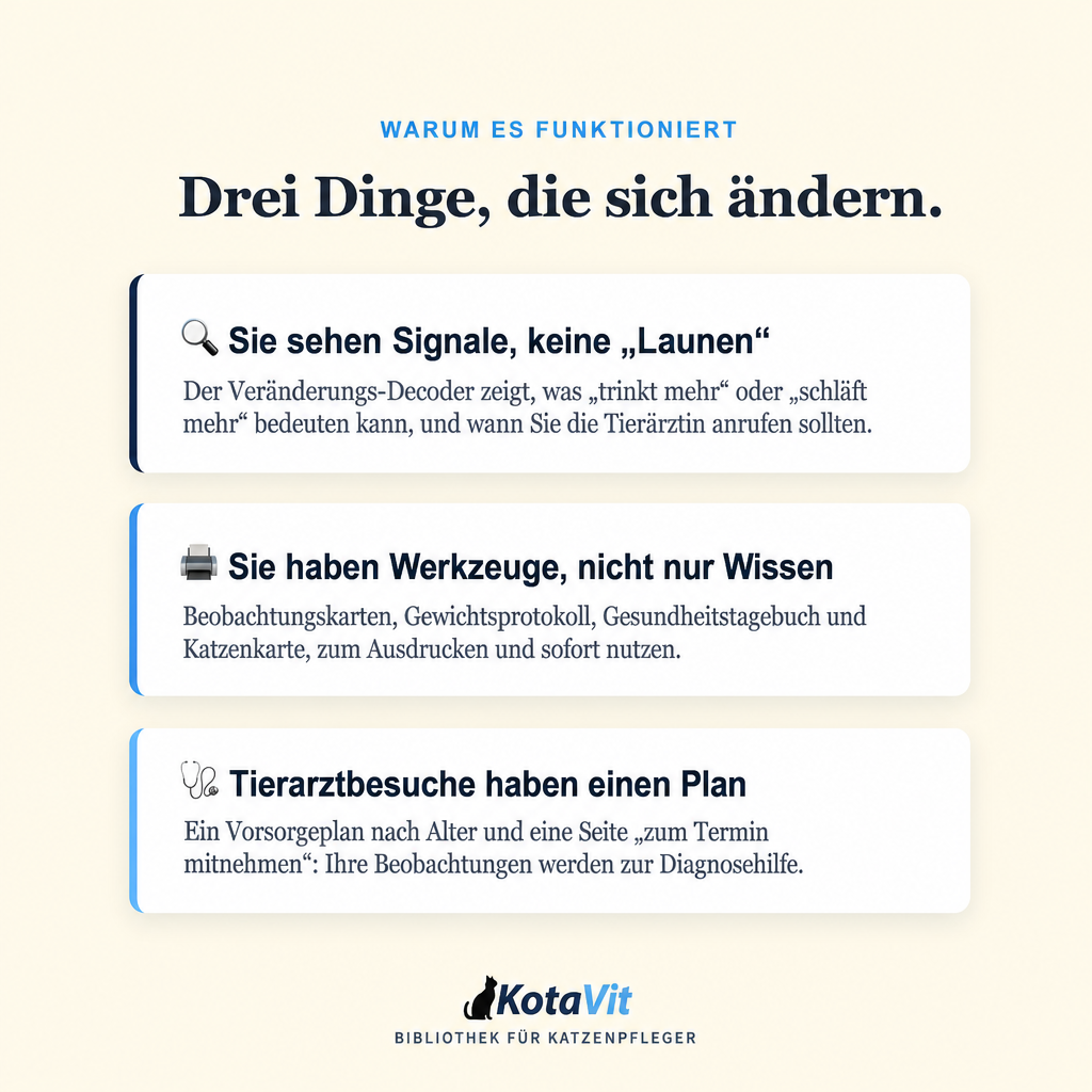 Leitfaden: Ein langes Katzenleben