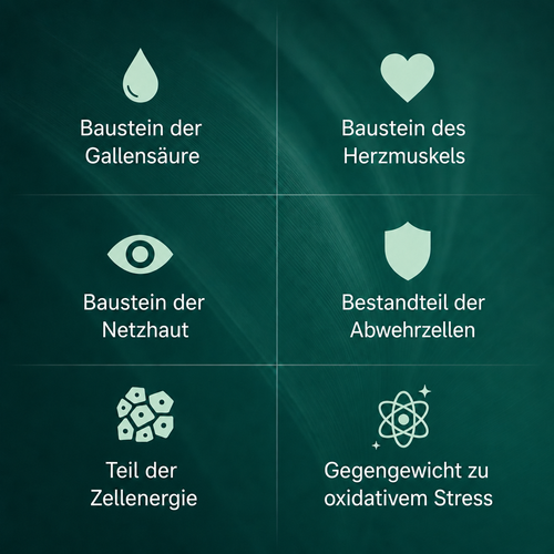 KotaVit™ Taurin für Katzen